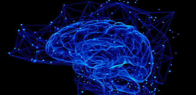 Neuroscience : Les implants Neuralink bientôt prêts pour les tests sur l’Homme