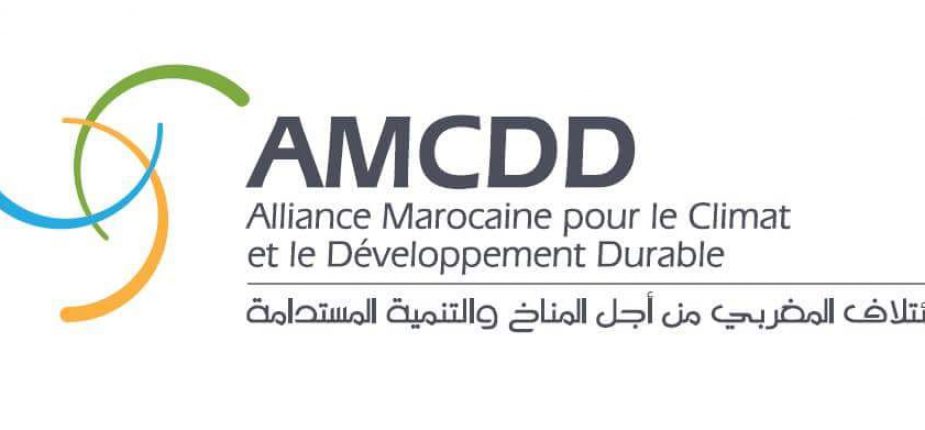 Nouveau modèle de développement : L’AMCDD appelle à un plan global de réformes