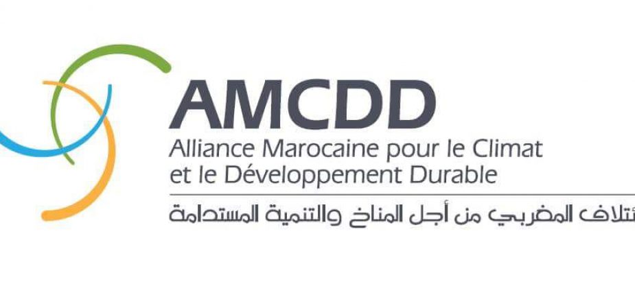 Nouveau modèle de développement : L’AMCDD appelle à un plan global de réformes Nouveau modèle de développement : L’AMCDD appelle à un plan global de réformes