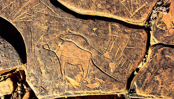 Antilope (Oryx), période des chasseurs (Site Tamdayresst, Province d’Assa Zag).