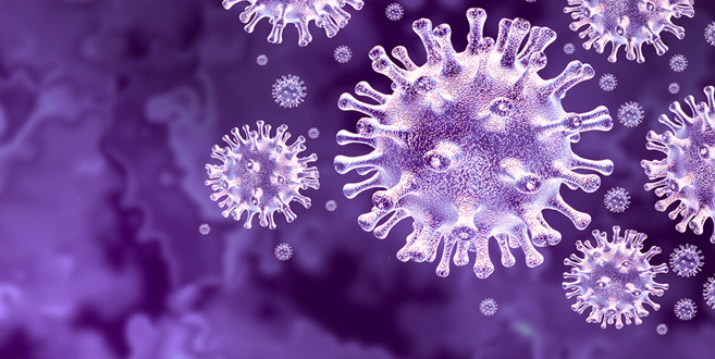 Covid-19 : Un virus à l’origine inconnue