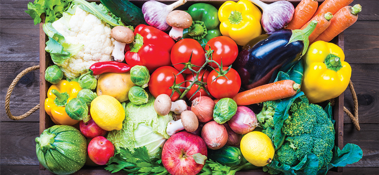 Fruits et légumes : le Maroc gagne en termes d’exportation au Royaume-Uni