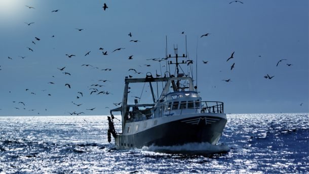Pêche : Une commission parlementaire conclut un accord maritime avec la Russie