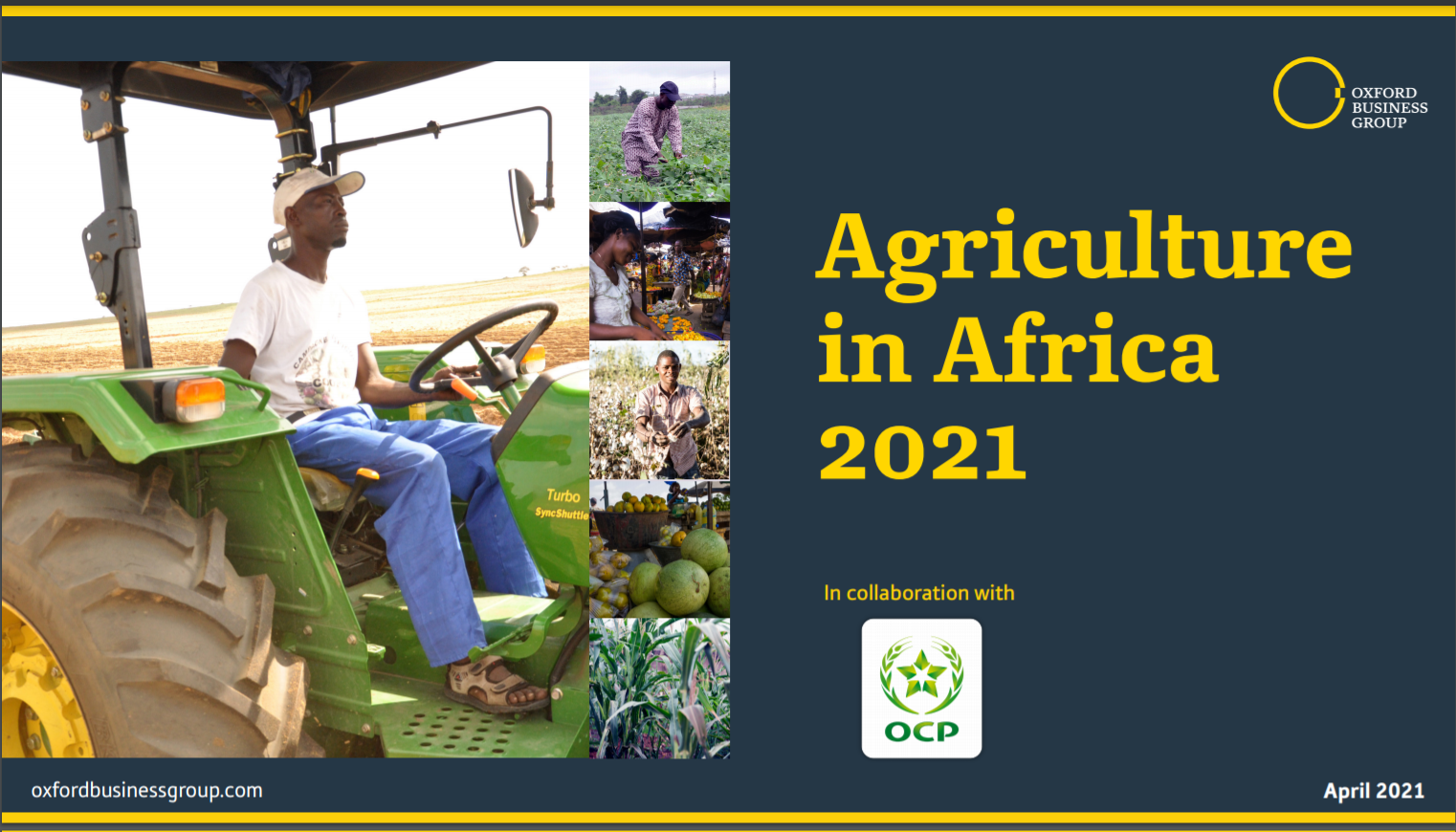 OCP & Oxford Business publient un rapport l’industrie agricole africaine