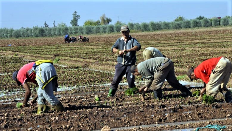 AMO : vers l'inclusion de 1,6 million agriculteurs et leurs familles