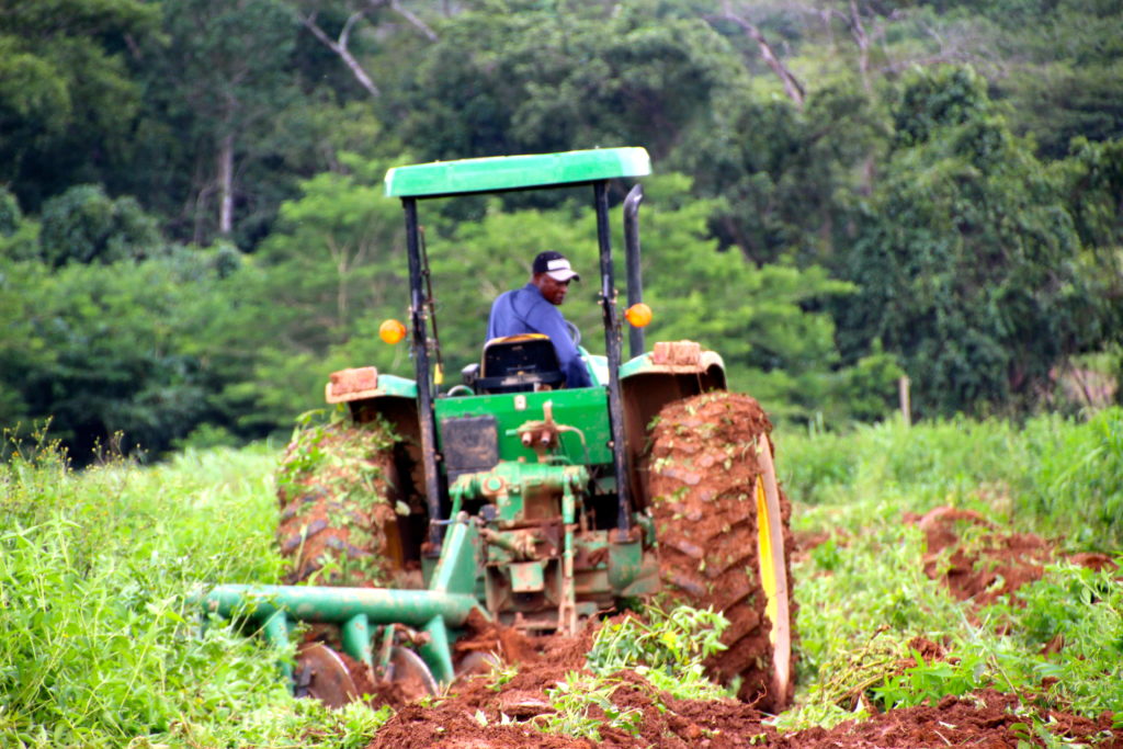Perspectives du secteur agricole sur le continent: La digitalisation technologique, facteur de productivité