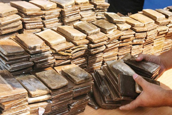 Rabat: Mise en échec d'une tentative de trafic de 498 Kg de chira Rabat: Mise en échec d'une tentative de trafic de 498 Kg de chira