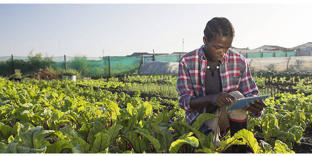 Numérisation de l’agriculture sur le continent : De nouvelles opportunités pour doper les économies des Etats