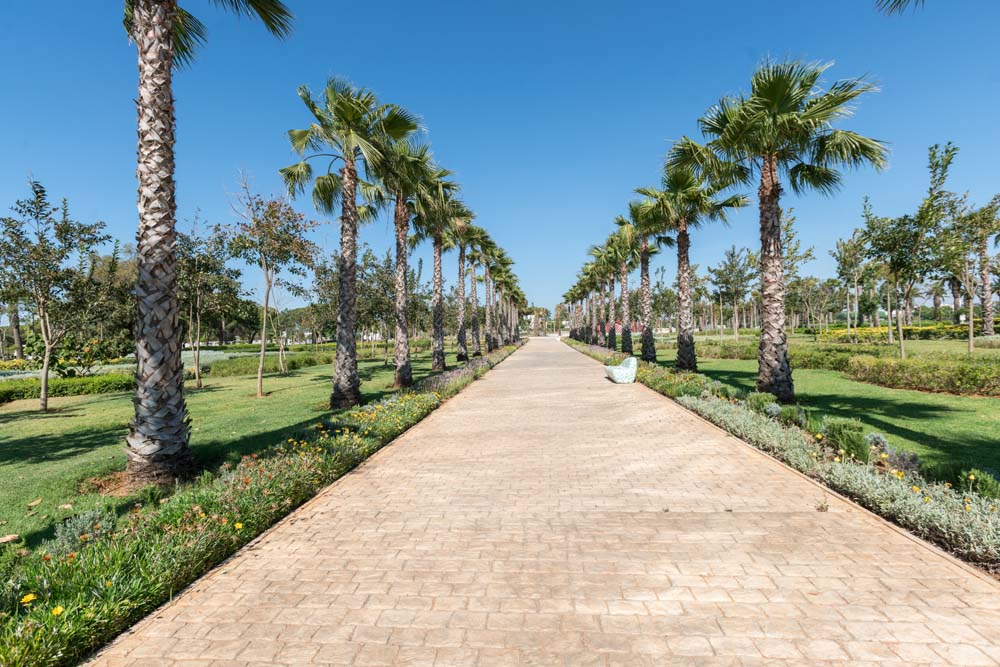 La capitale bientôt dotée d’un système de surveillance pour protéger sa composante verte La capitale bientôt dotée d’un système de surveillance pour protéger sa composante verte