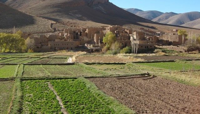 Melkisation de terres collectives : MCA-Morocco et le CAM se mobilisent pour l'éducation financière