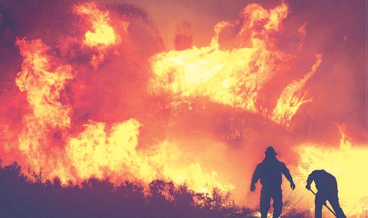 Fès-Meknès : Des feux de forêts ravagent le patrimoine forestier