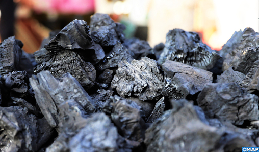 Aïd Al Adha : Le ministère de la Santé met en garde contre les risques d’intoxication due au charbon