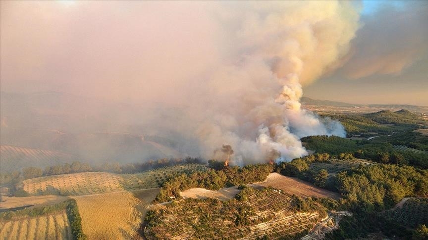 Incendies en Turquie : Le bilan en hausse