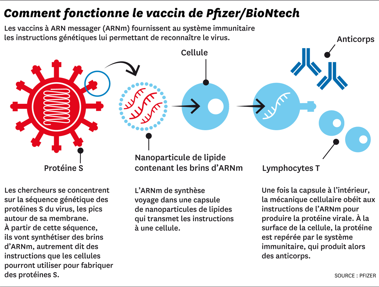 Le Maroc réceptionne le premier lot de vaccins Pfizer/BioNTech