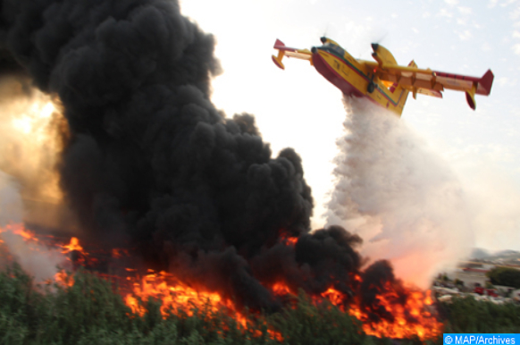 Chefchaouen : Un grand incendie ravage les forêts