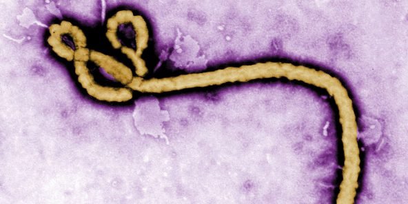 La Côte d’Ivoire touchée par un premier cas confirmé d’Ebola