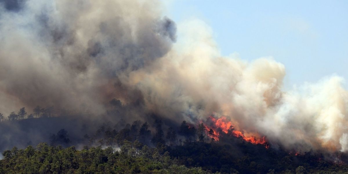 France : Un violent incendie en Côte d’Azur