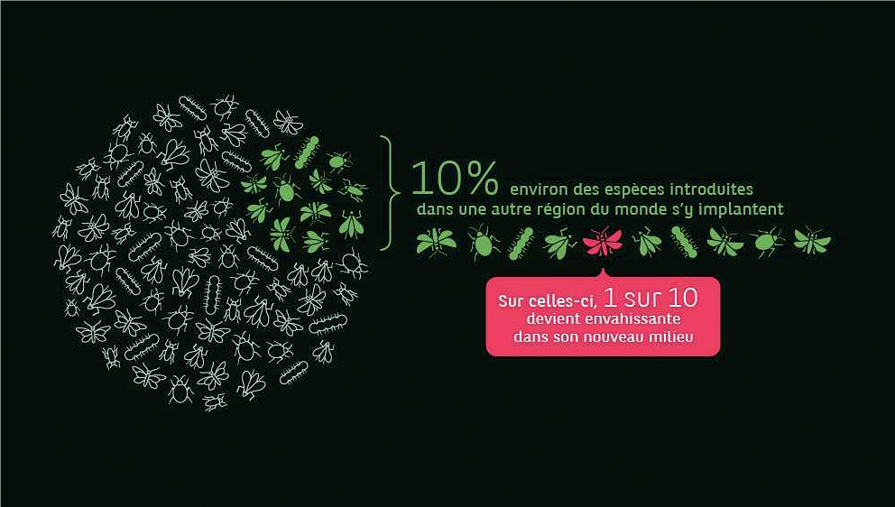 Espèces exotiques envahissantes : Une menace socioéconomique croissante et silencieuse Espèces exotiques envahissantes : Une menace socioéconomique croissante et silencieuse