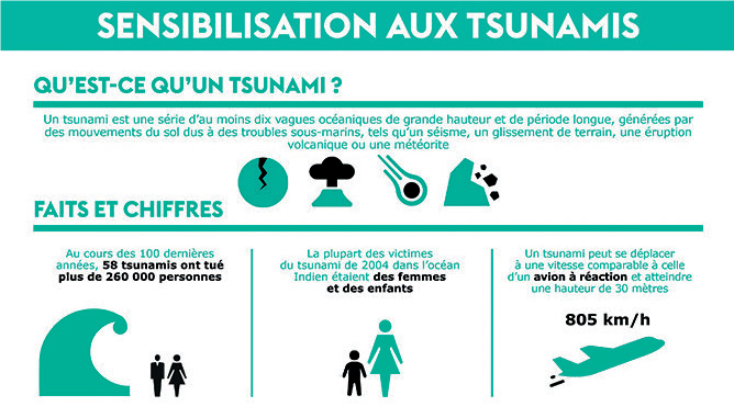 Éruptions volcaniques aux Canaries : Vrai ou faux risque Tsunamique sur le littoral Atlantique ?