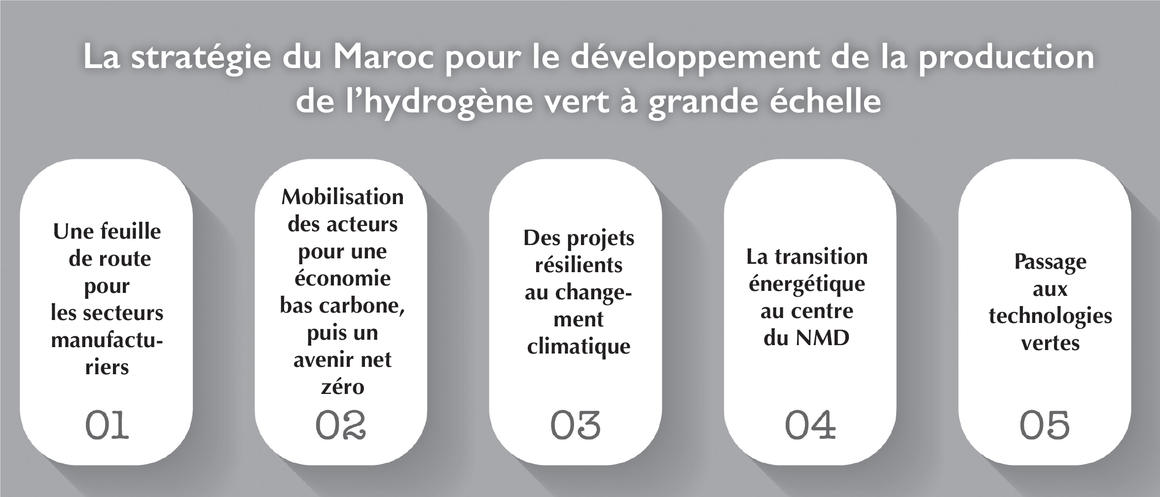 Hydrogène vert / McKinsey : le Maroc, leader de la transition énergétique en Afrique