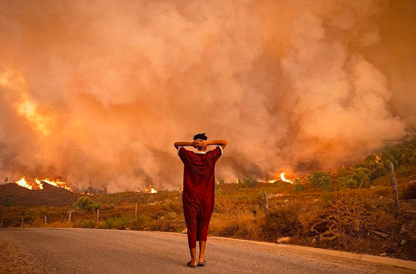Feux de forêts : baisse de 47% de la surface forestière incendiée en 2021