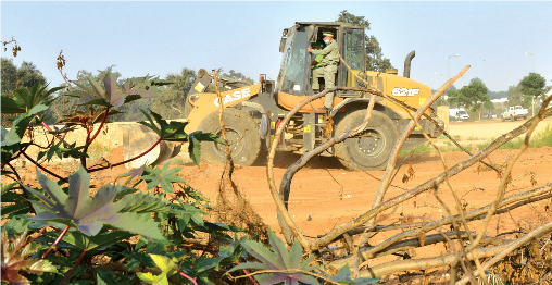 Kénitra : Opération de nettoyage à la forêt urbaine de Saknia