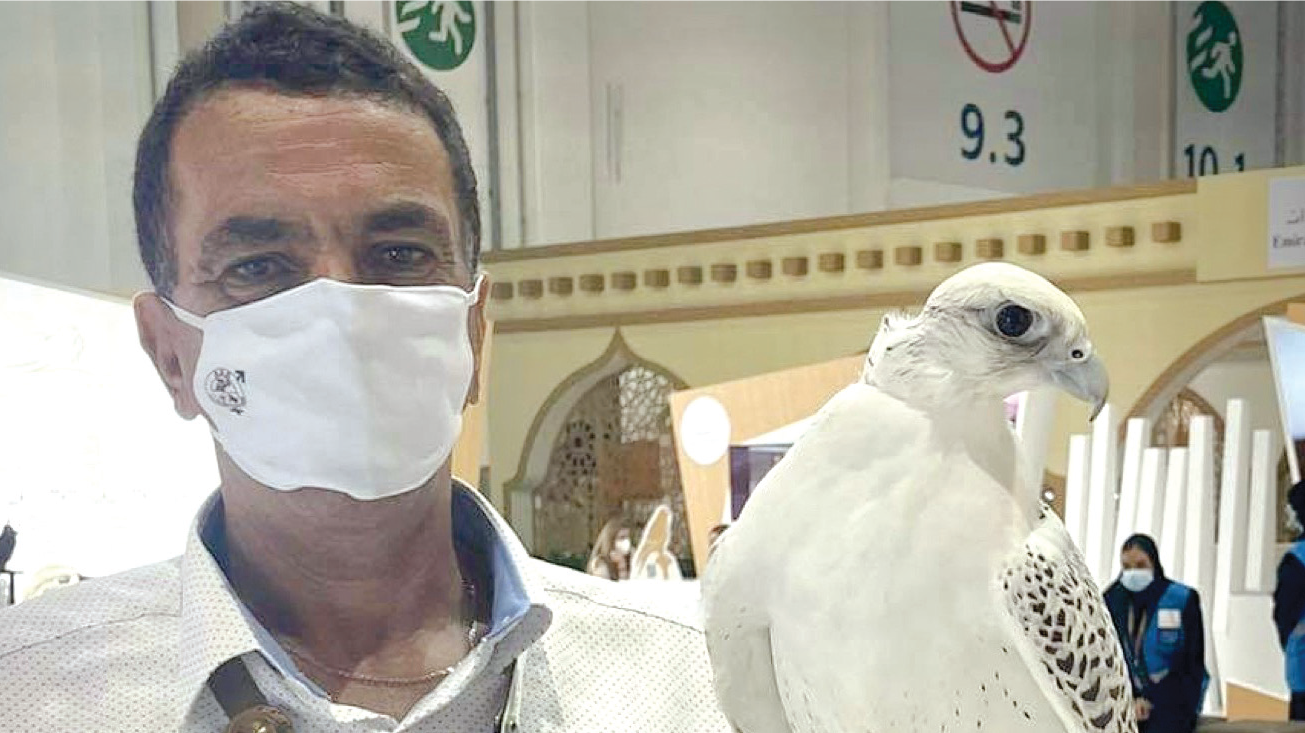 El Jadida : L’art de la fauconnerie Lekouassem s’envole pour Dubaï