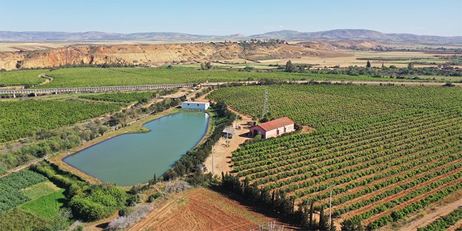 DPI lève 900 millions de dollars pour ses investissements en Afrique   DPI lève 900 millions de dollars pour ses investissements en Afrique