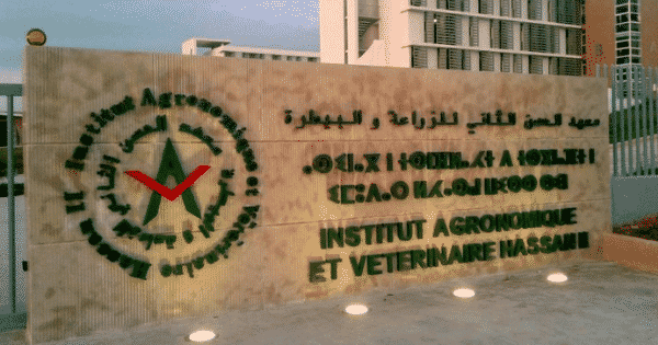 Rabat / IAV : Les étudiants s’opposent au mode distanciel