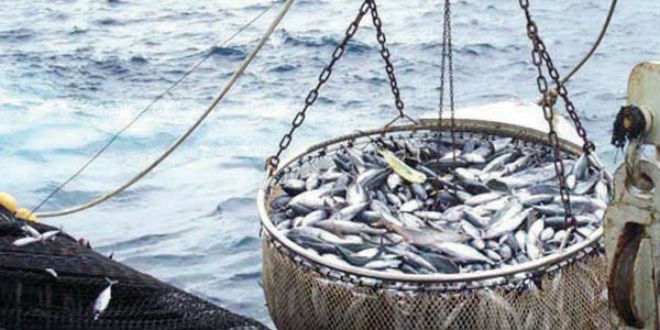 Maroc -UE : L’accord de pêche est une priorité pour l’Espagne