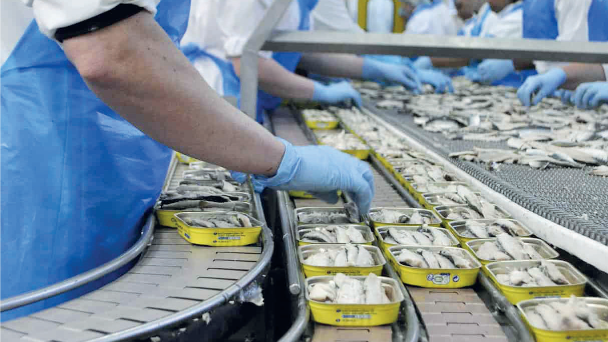 Sardine du Maroc : Entre conserve et farine, menace sur la reine des protéines Sardine du Maroc : Entre conserve et farine, menace sur la reine des protéines