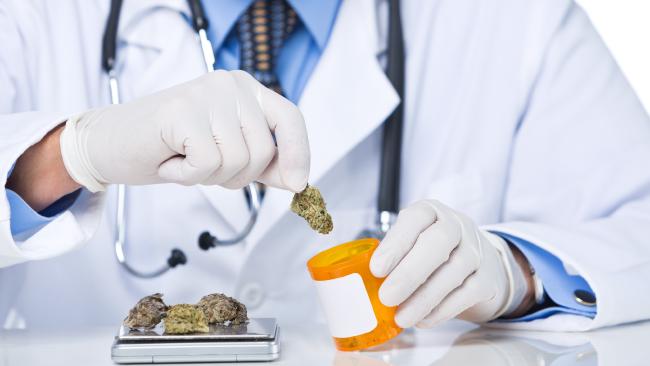 Cannabis thérapeutique : Les défis pharmacologiques d’un marché porteur