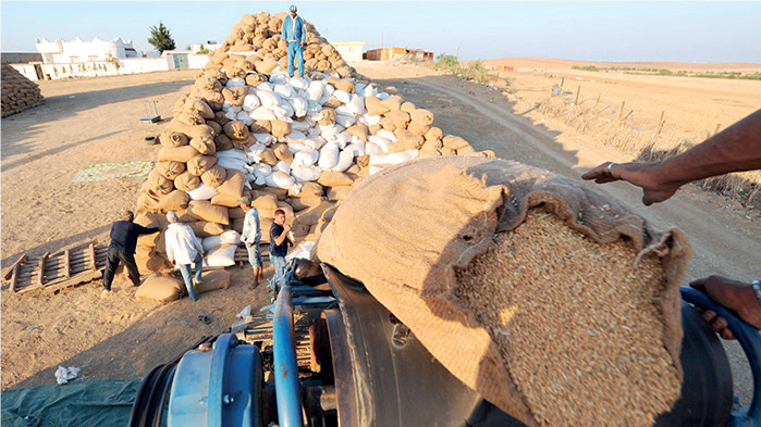 Agriculture/Marché national : Suspension des droits de douane sur les importations de blé