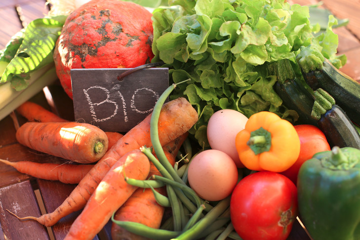 L’agriculture bio et organique en plein essor au Maroc