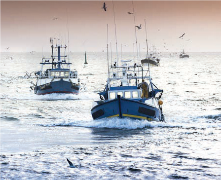Accord de pêche et agricole / Maroc-UE : Rabat peut-il se passer des 27 ?