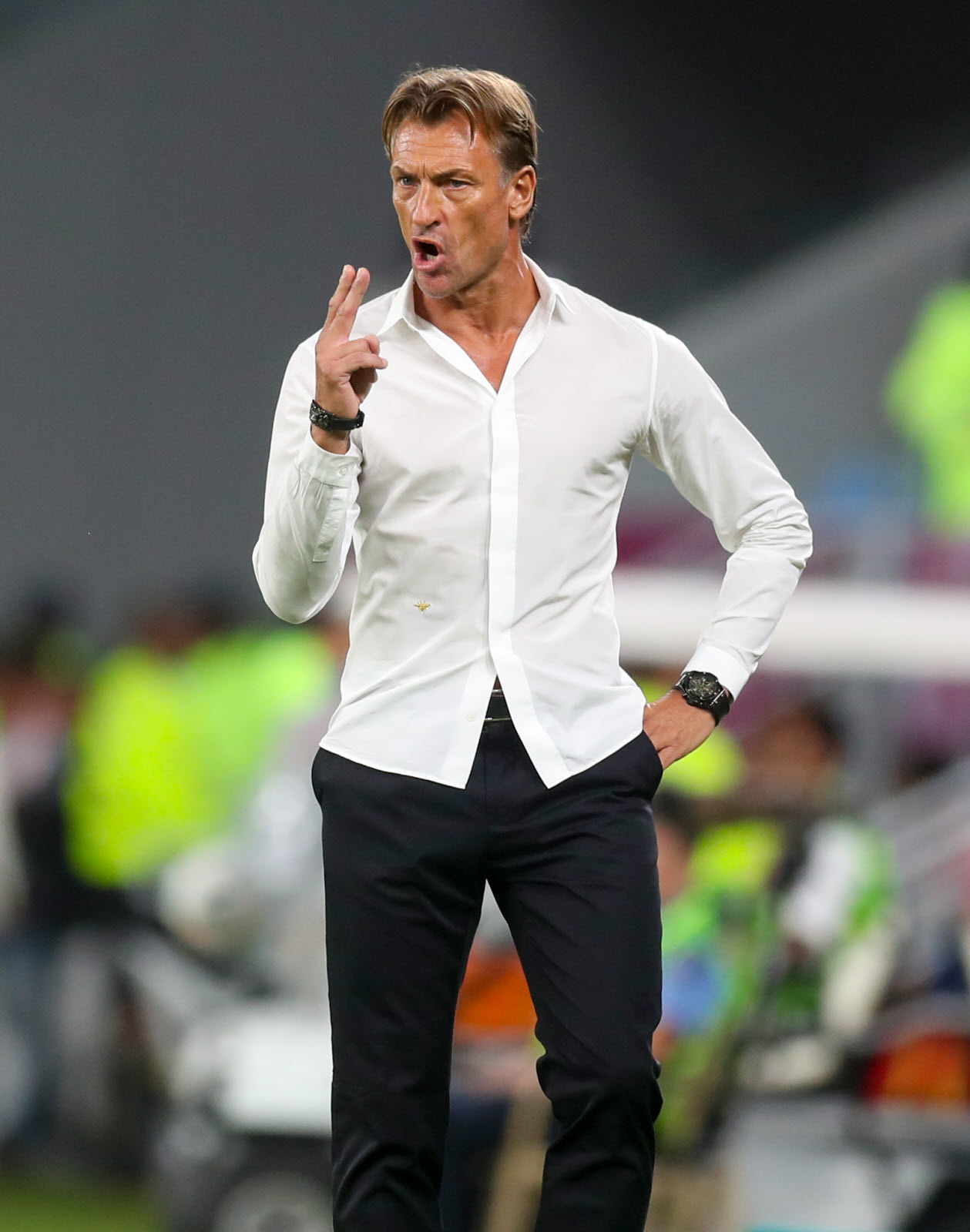 Quali. Mondial 2022 : Hervé Renard proche de sa deuxième Coupe du monde