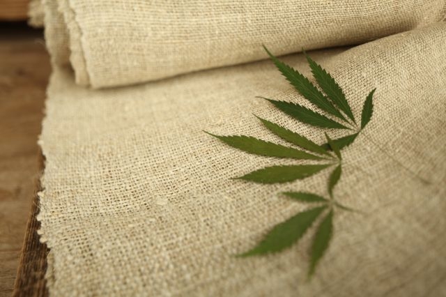 Légalisation du cannabis : opportunité indéniable pour l'industrie textile marocaine Légalisation du cannabis : opportunité indéniable pour l'industrie textile marocaine