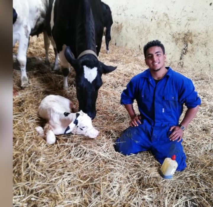 Ayoub Louihrani, fermier maroco-néerlandais.
