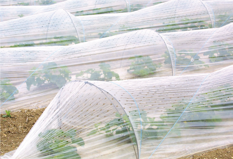 Déchets plastiques  : Haro sur la pollution des sols agricoles