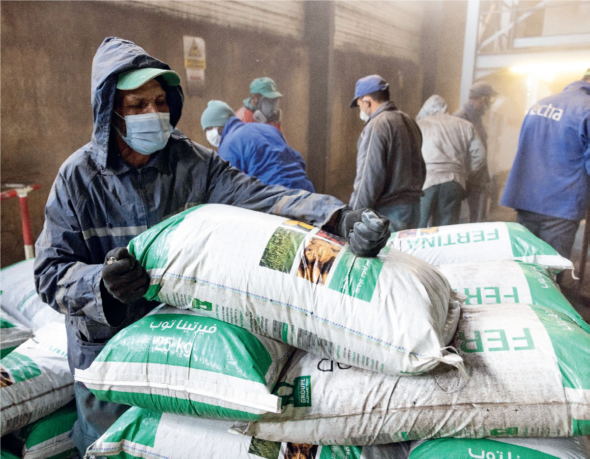 Déchets plastiques  : Haro sur la pollution des sols agricoles Déchets plastiques  : Haro sur la pollution des sols agricoles