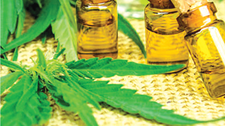 Recherche scientifique : L’huile de cannabis pour traiter l’autisme