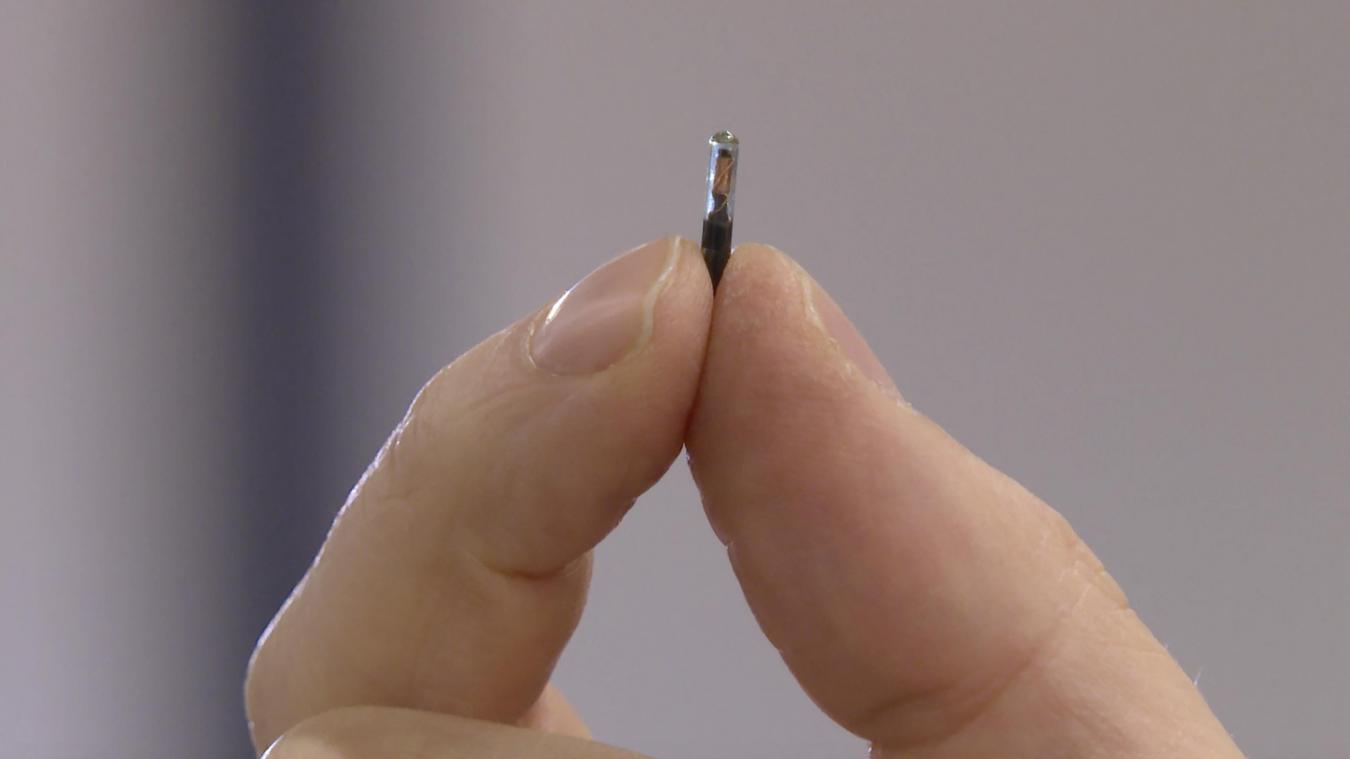 Puces vaccinales : Quand la réalité rejoint la fiction