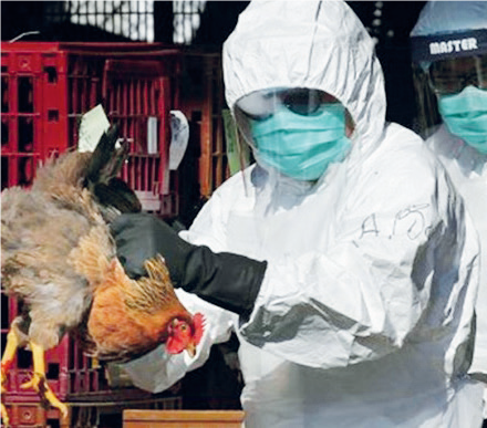 Grippe saisonnière et Covid : Cette «twindemic» qui tourmente les Marocains ! Grippe saisonnière et Covid : Cette «twindemic» qui tourmente les Marocains !