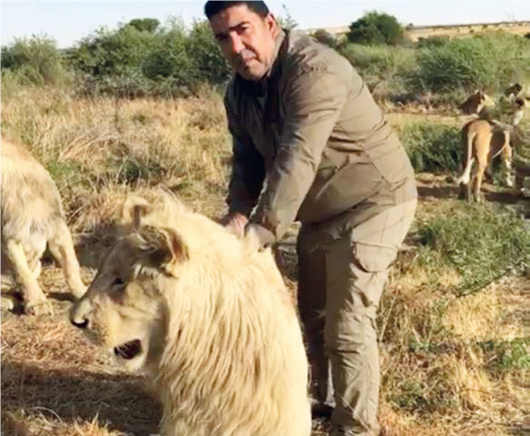 Tourisme : Faire un safari au Maroc ? Bientôt possible !