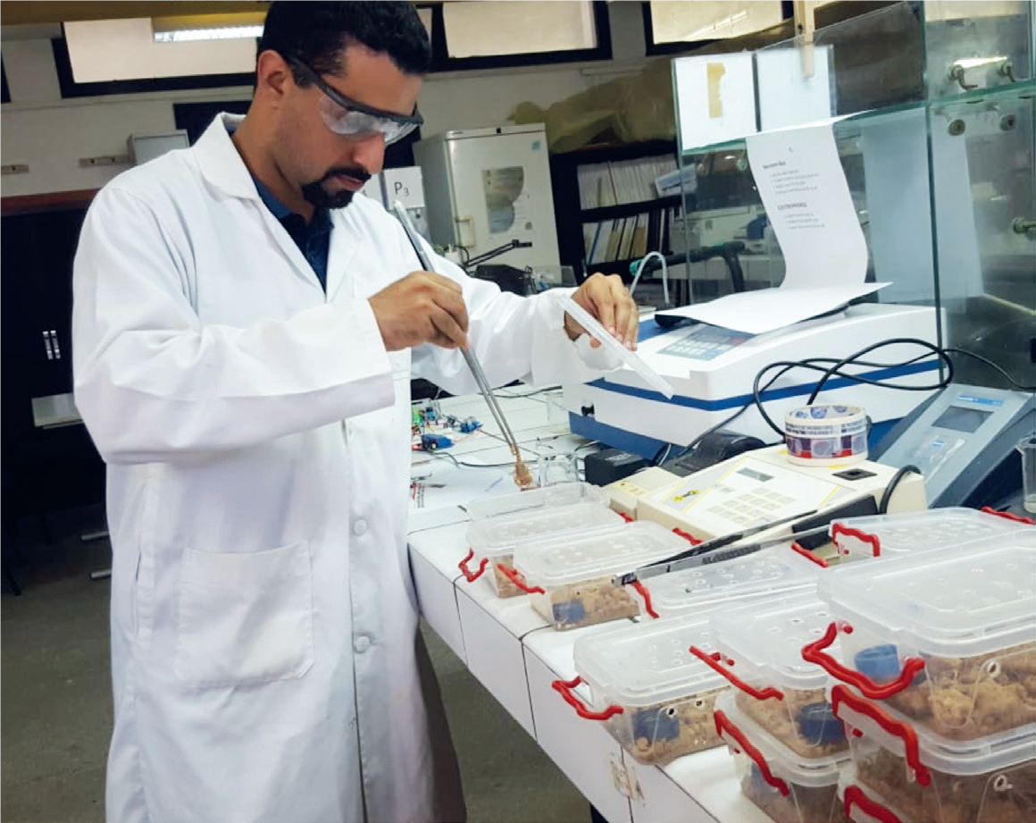 Extraction des venins : Une industrie marocaine prometteuse et pointue