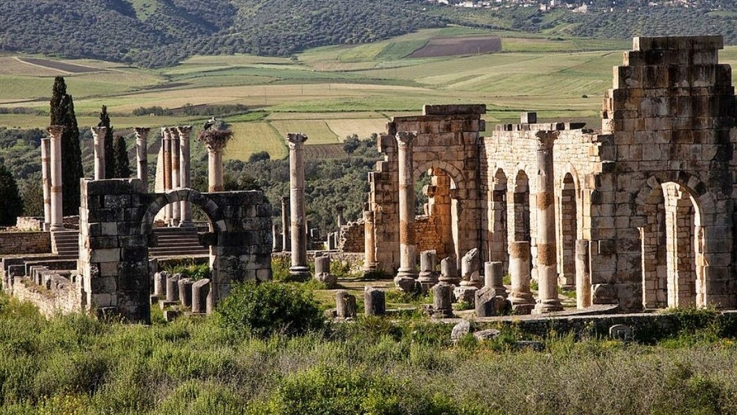 Volubilis :  A l’épreuve du manque de touristes… Volubilis :  A l’épreuve du manque de touristes…
