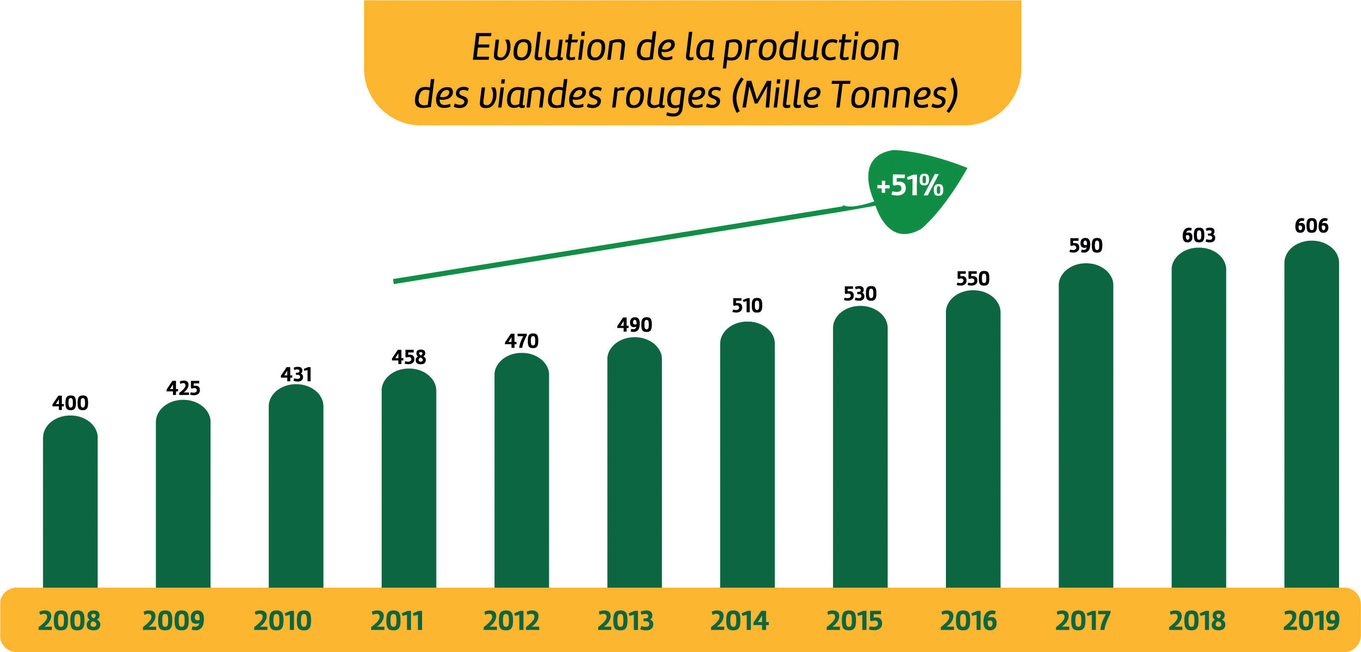 Élevage et viandes rouges : La résilience de la filière à l’épreuve de la sécheresse