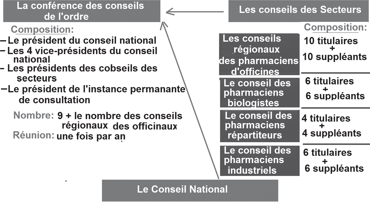 Ordre National des Pharmaciens : Une réforme clivante mais nécessaire qui peine à voir le jour Ordre National des Pharmaciens : Une réforme clivante mais nécessaire qui peine à voir le jour
