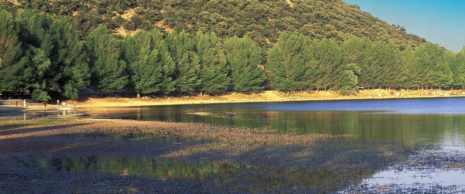 Richesse forestière : l'UpM et la FAO soutiennent la restauration des paysages au Maroc Richesse forestière : l'UpM et la FAO soutiennent la restauration des paysages au Maroc