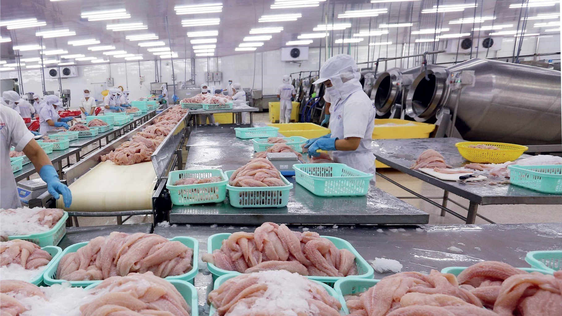 Développement durable : Vers une reconstruction post-Covid de l’industrie halieutique